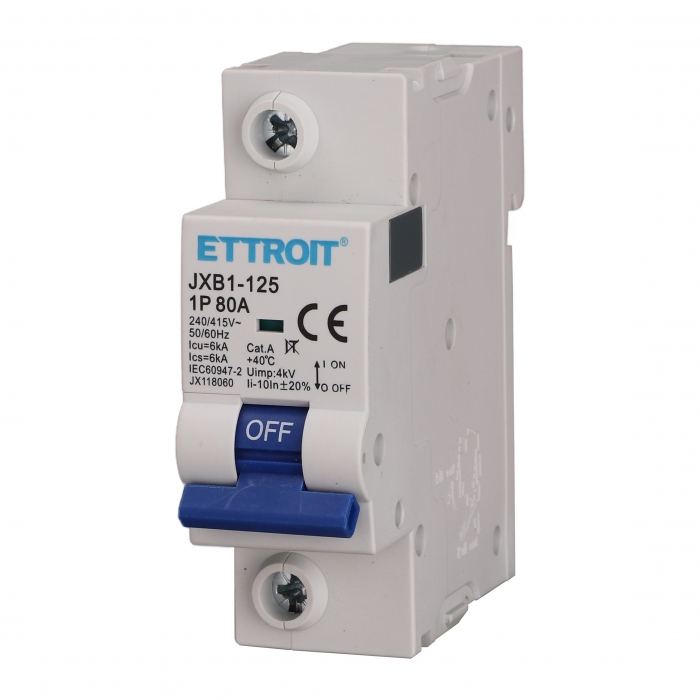 Interruttore Magnetotermico 1P 80A 220V 6KA