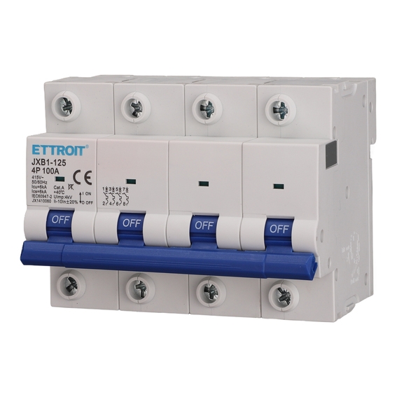 Interruttore Magnetotermico 4P 100A 220V 6KA
