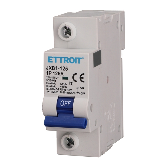 Interruttore Magnetotermico 1P 125A 220V 6KA