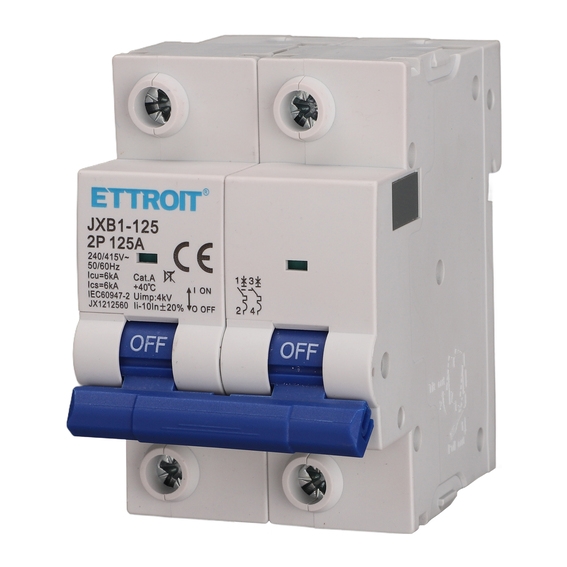Interruttore Magnetotermico 2P 125A 220V 6KA