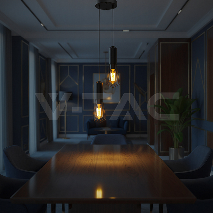 2XE27 Decorative Hanging Lamp (D200*H25mm) Matt Black img 6