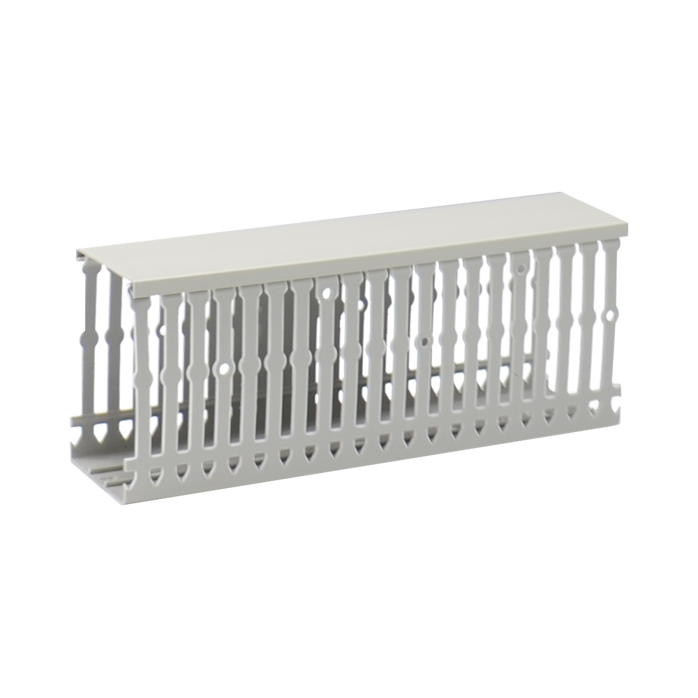 Canalina cablaggio 60x100