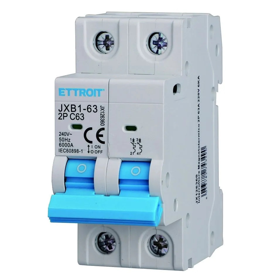 Interruttore Magnetotermico 2P 63A 220V 6KA