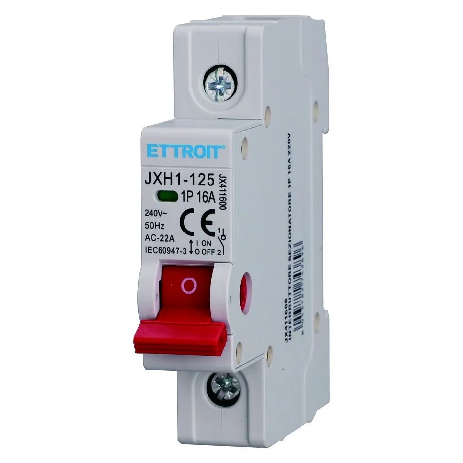 INTERRUTTORE SEZIONATORE 1P 16A 220V