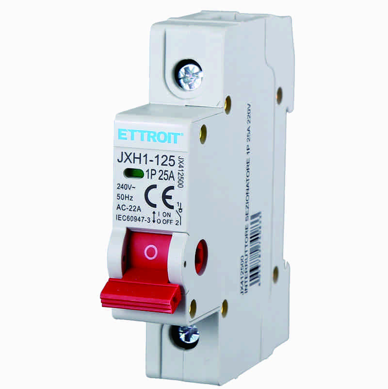 INTERRUTTORE SEZIONATORE 1P 25A 220V