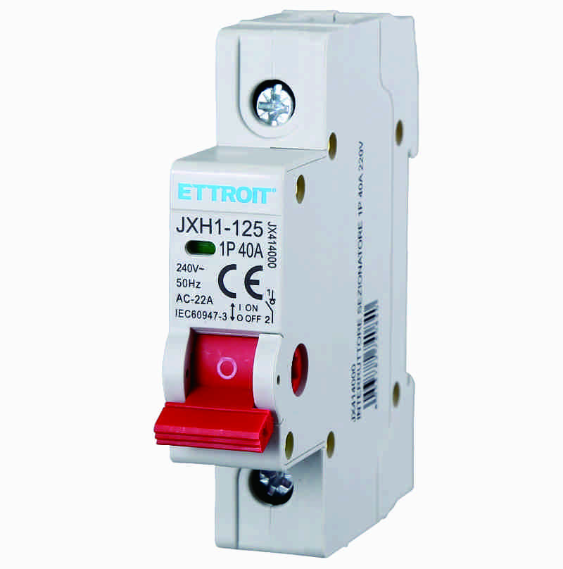 INTERRUTTORE SEZIONATORE 1P 40A 220V