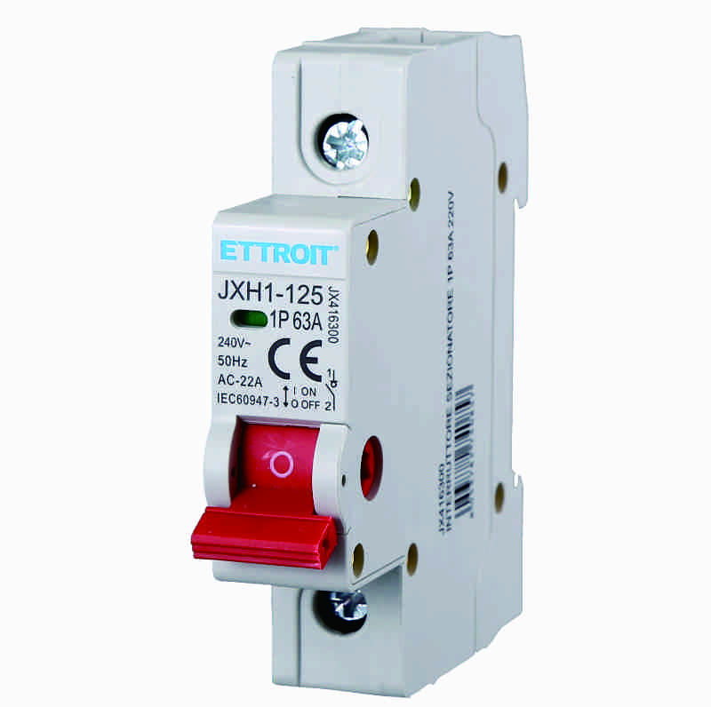 INTERRUTTORE SEZIONATORE 1P 63A 220V