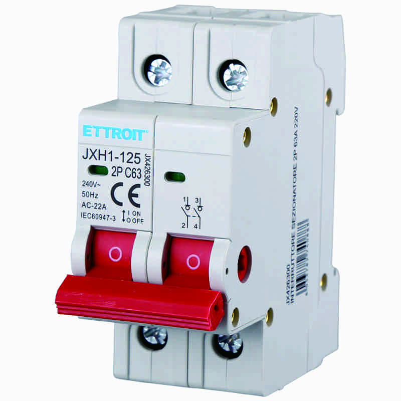 INTERRUTTORE SEZIONATORE 2P 63A 220V