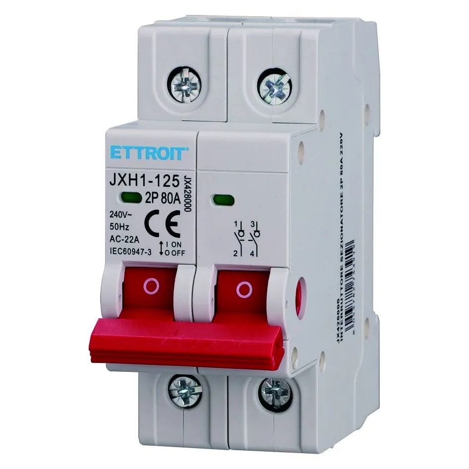 INTERRUTTORE SEZIONATORE 2P 80A 220V