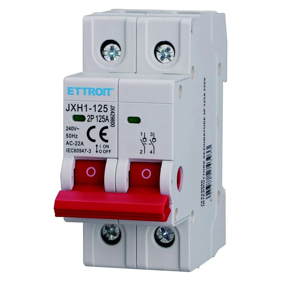INTERRUTTORE SEZIONATORE 2P 125A 220V